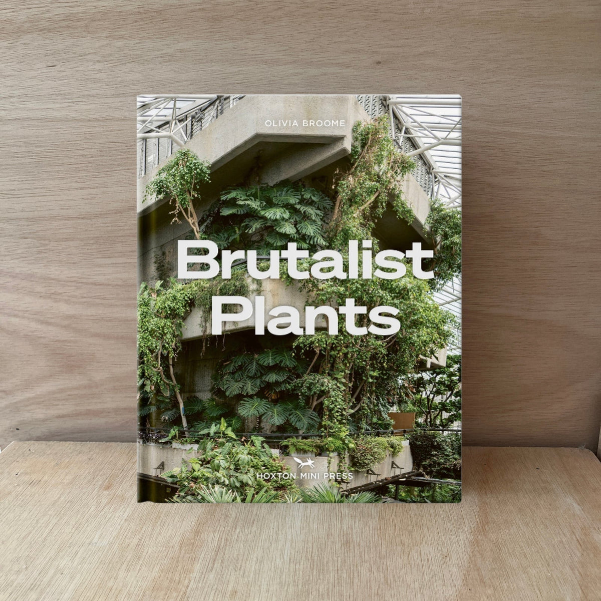 No.3 Book Club / Brutalist Plants by Olivia Broome