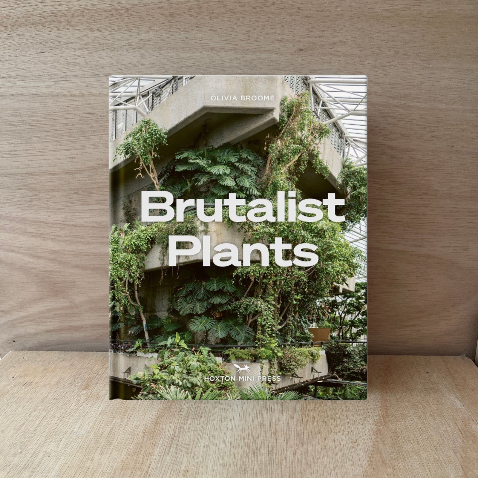 No.3 Book Club / Brutalist Plants by Olivia Broome
